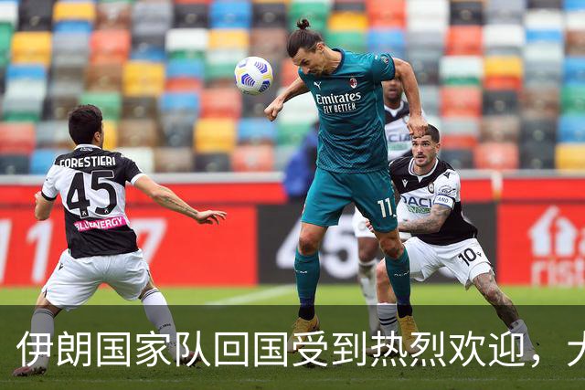 伊朗国家队回国受到热烈欢迎，大批球迷接机